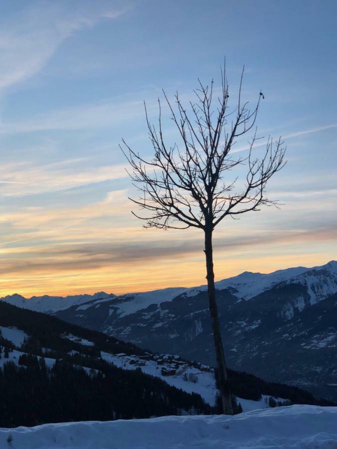 Le Falyoucher Peisey-Nancroix Exterior foto